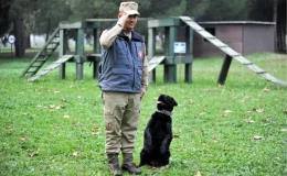 TSK’nın eğitimli köpekleri operasyonlarda etkin rol oynuyor