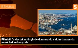 Filinistin’e destek mitingindeki yumruklu saldırı davasında sanık hakim karşında