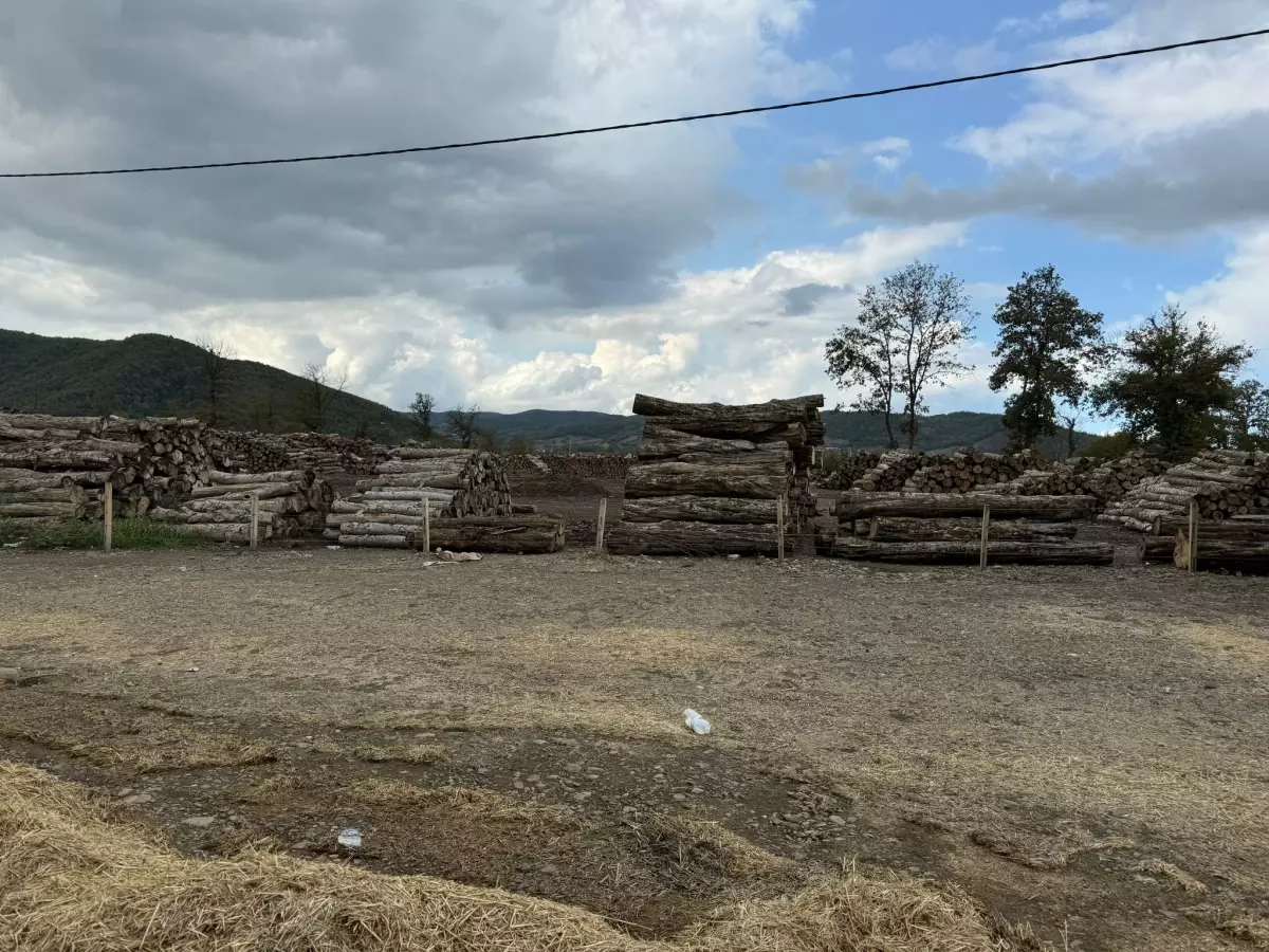 Bartın’da Tomruk Altında Kalan İşçi Hayatını Kaybetti