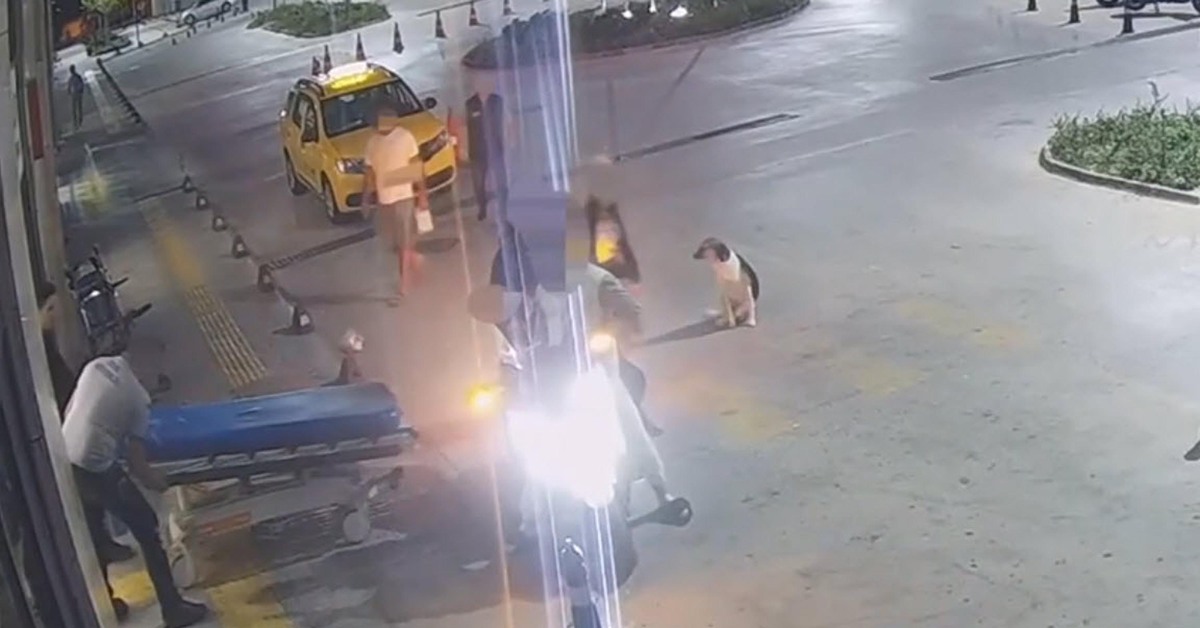 Film gibi olay! 3 yerinden vurup hastaneye bıraktılar