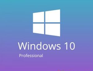 Windows 10 Pro Lisans