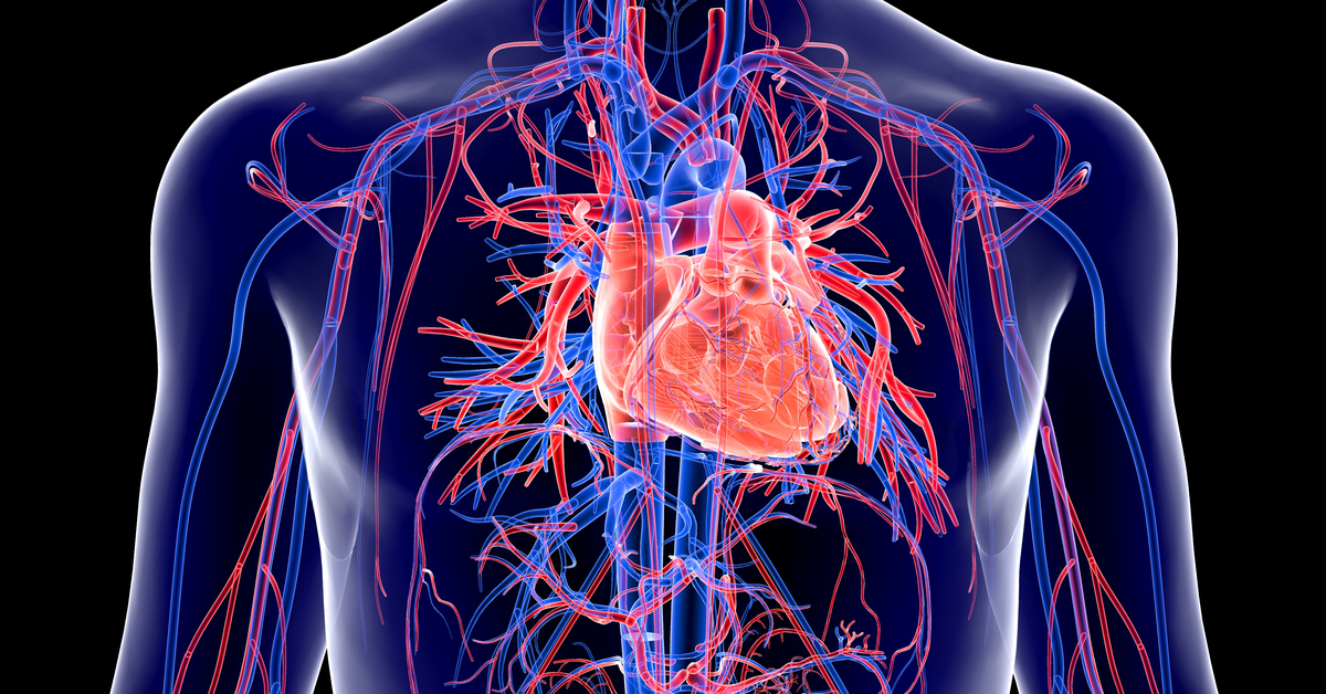 Soğuk havalar kalp krizi riskini artırıyor